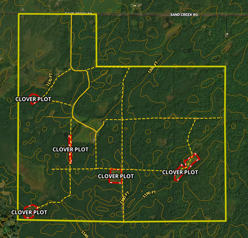 Screen shot 2021-04-19 at 11.25.51 am