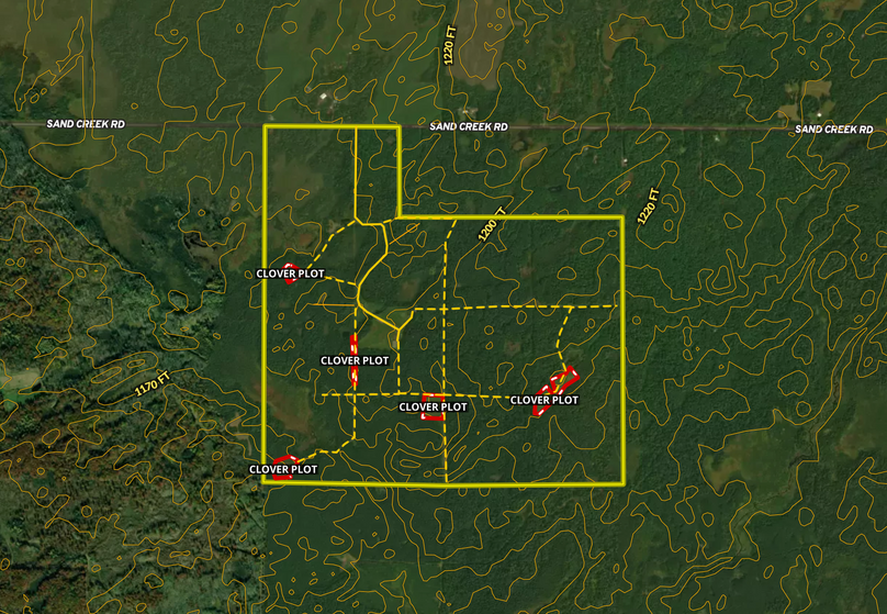 Screen shot 2021-04-19 at 11.26.17 am