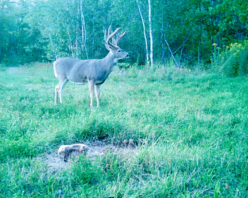 Screen shot 2021-04-16 at 7.48.18 am