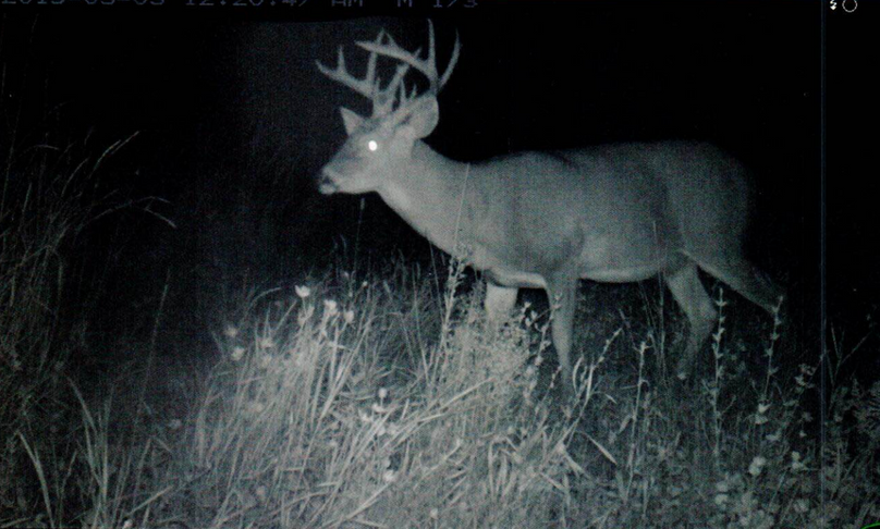 Screen shot 2021-04-16 at 7.48.55 am