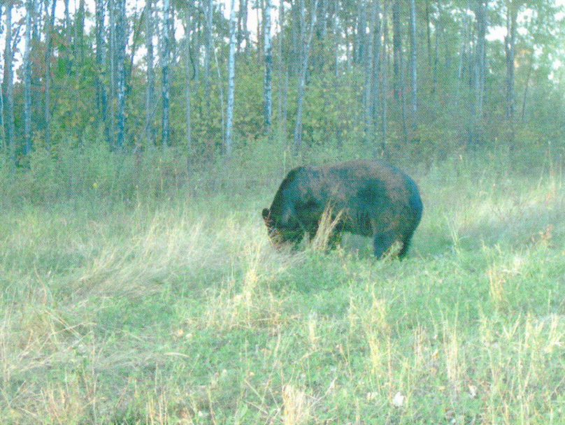 Screen shot 2021-04-16 at 7.49.12 am