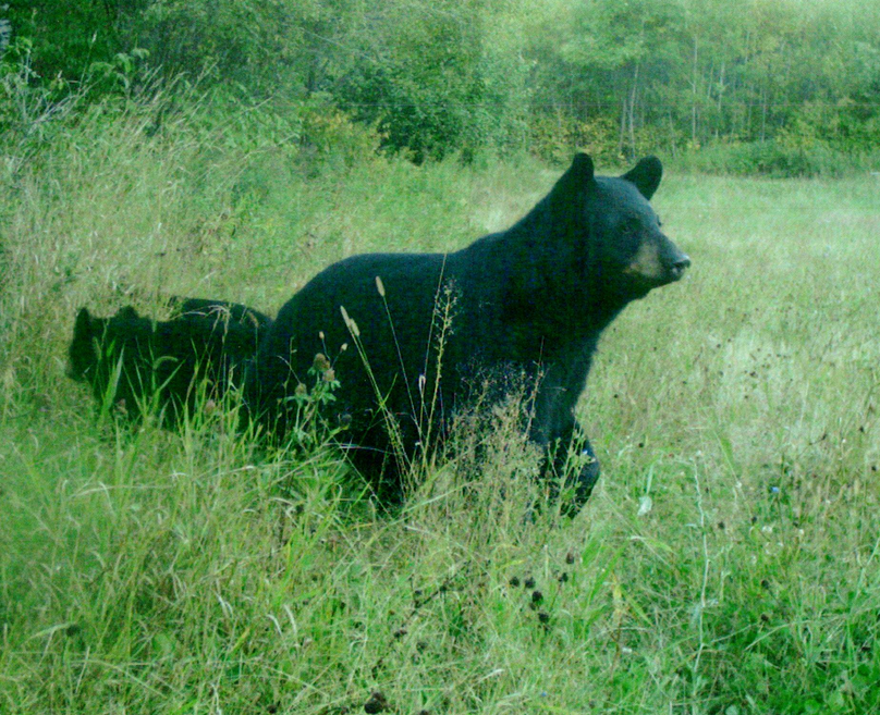 Screen shot 2021-04-16 at 7.49.25 am