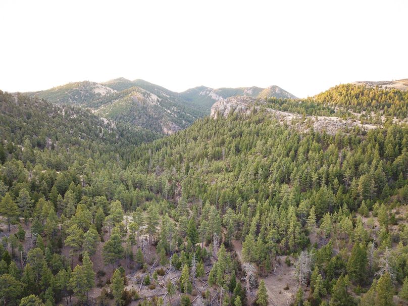 20210410-dji 0008
