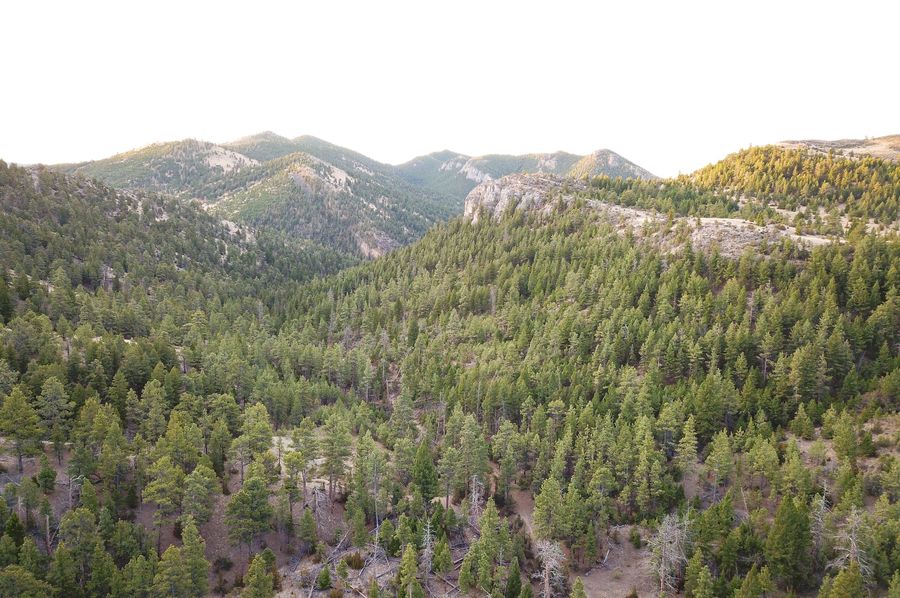 20210410-dji 0008