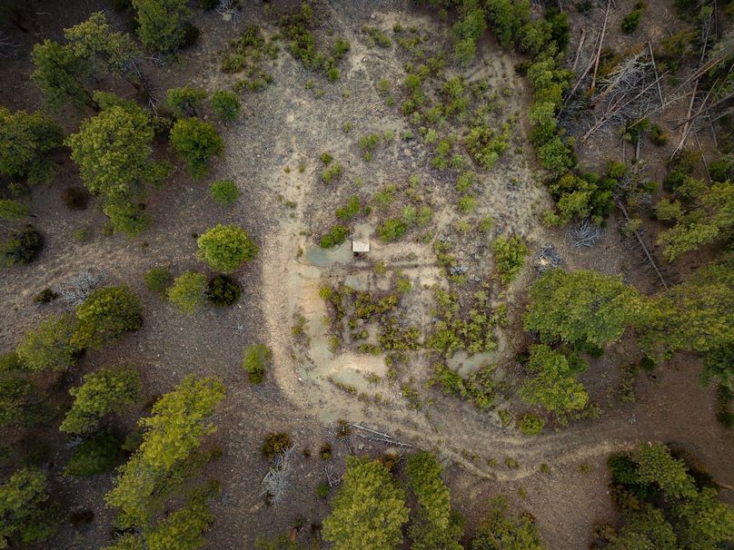 20210410-dji 0016