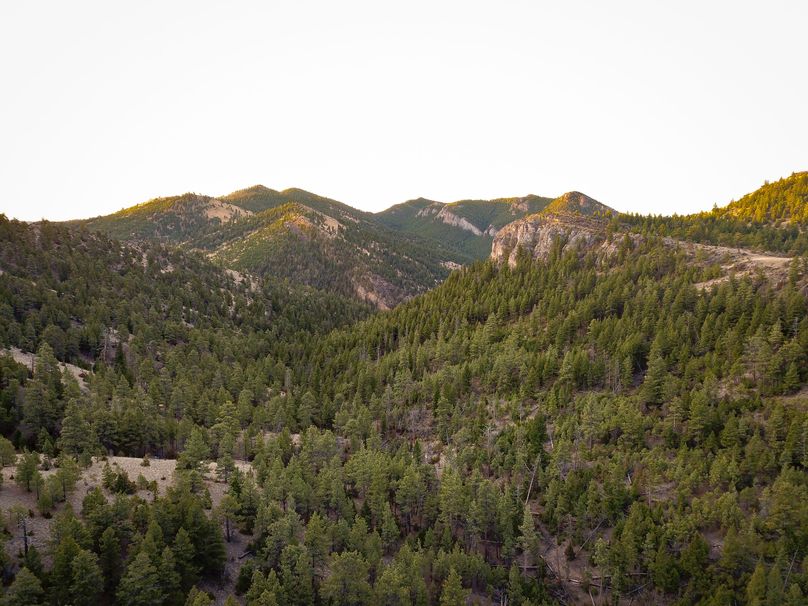 20210410-dji 0010