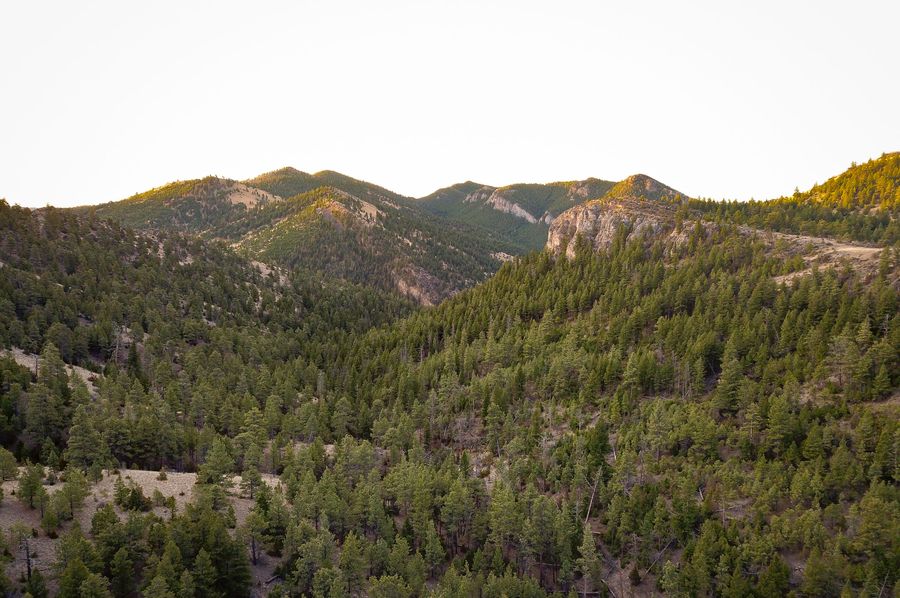 20210410-dji 0010