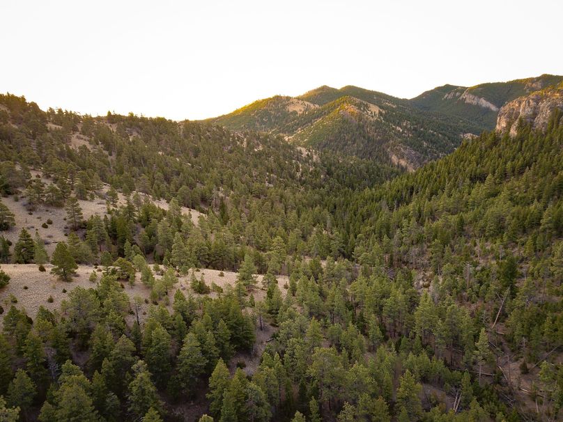 20210410-dji 0011