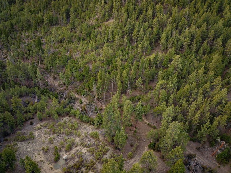 20210410-dji 0013