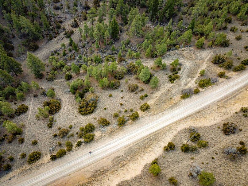 20210410-dji 0025