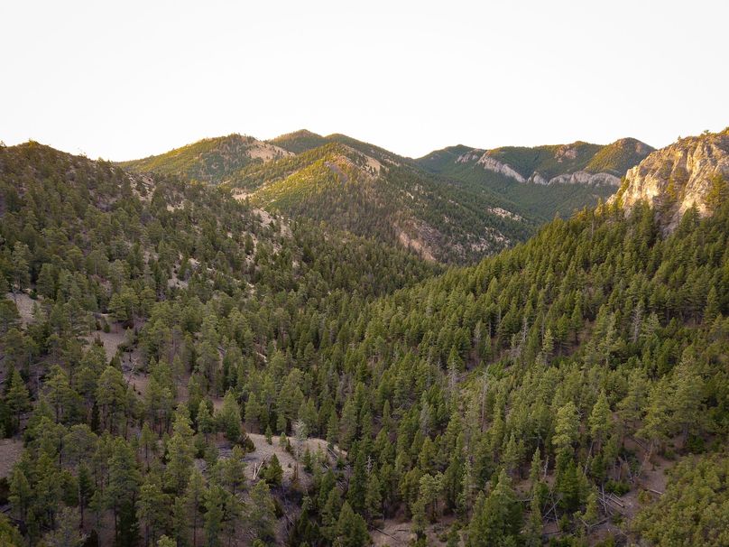 20210410-dji 0020