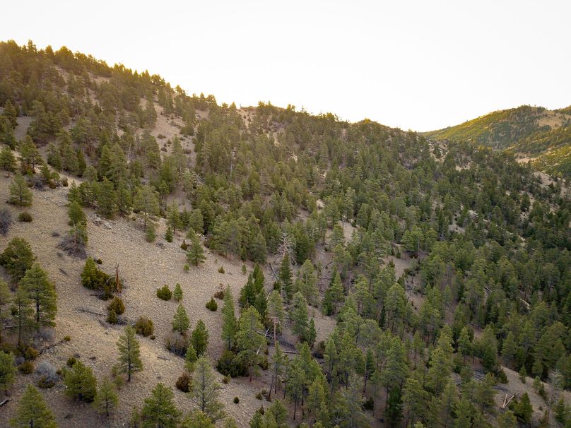 20210410-dji 0021