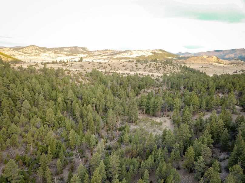 20210410-dji 0022