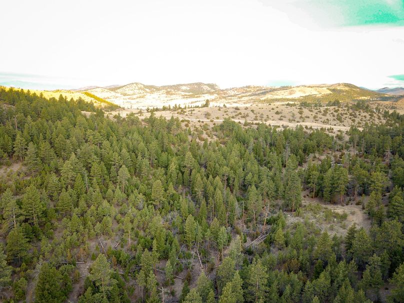 20210410-dji 0023