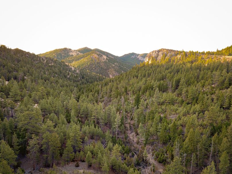 20210410-dji 0034