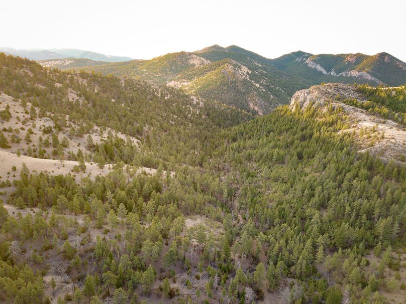 20210410-dji 0039