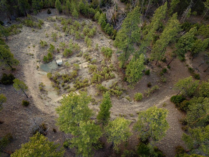20210410-dji 0031