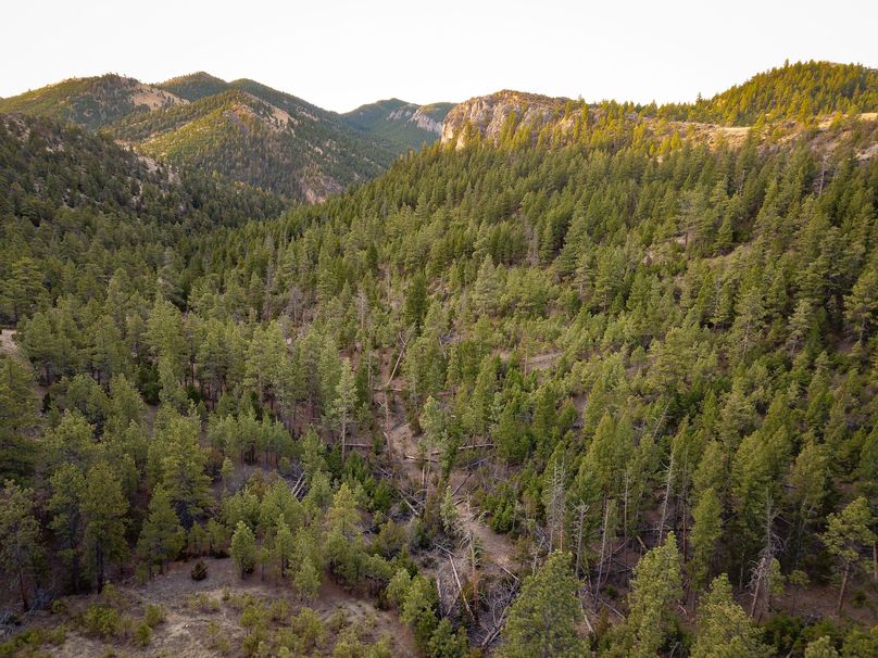 20210410-dji 0032