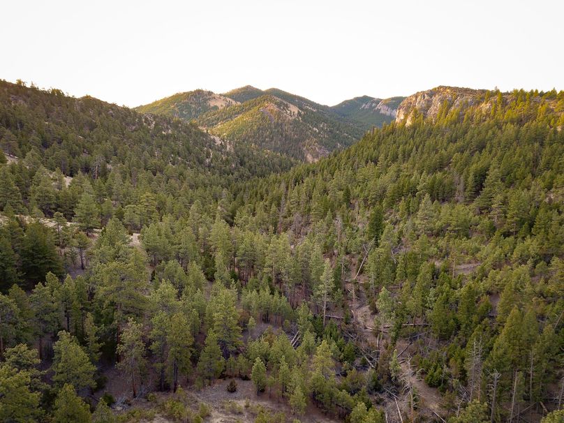 20210410-dji 0033