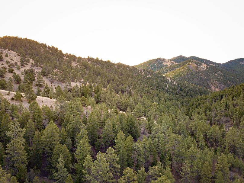 20210410-dji 0044