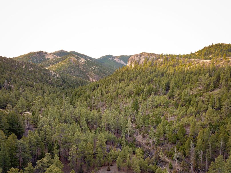 20210410-dji 0045
