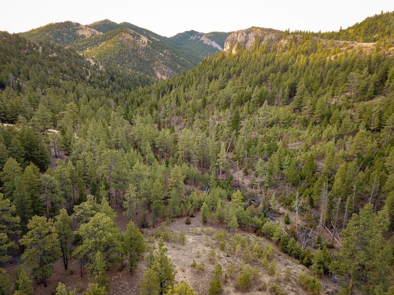 20210410-dji 0046