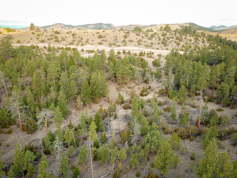 20210410-dji 0047