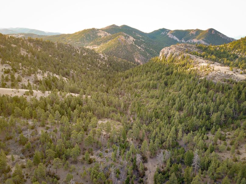 20210410-dji 0040