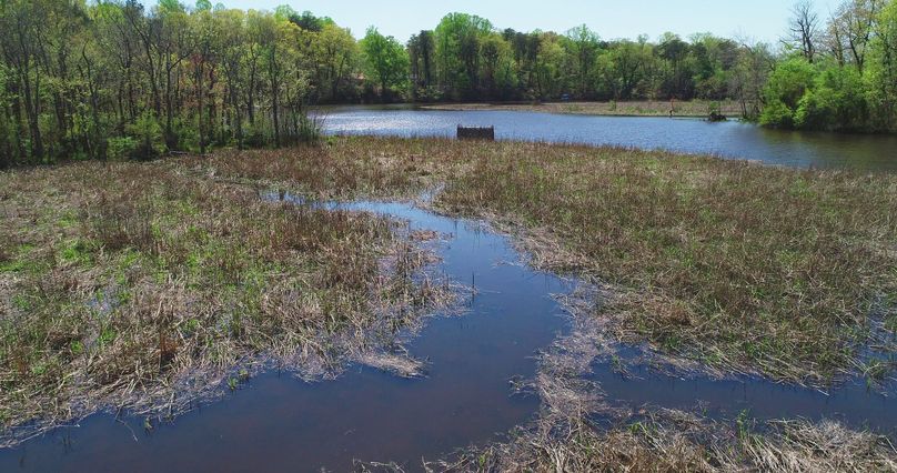 63.44 caroline blinds 0463