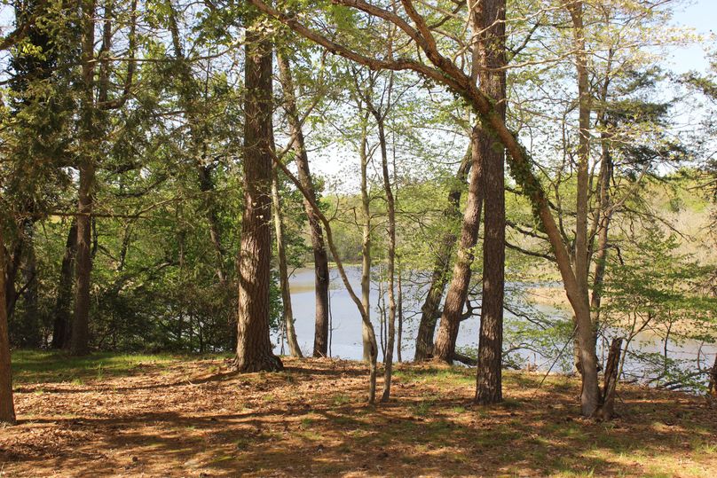 63.44acres carolinecty backyard wattscreek