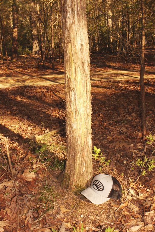 63.44acres carolinecty buckrub