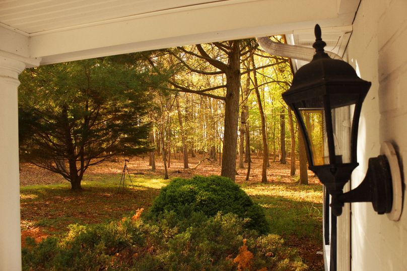 63.44acres carolinecty sideyard