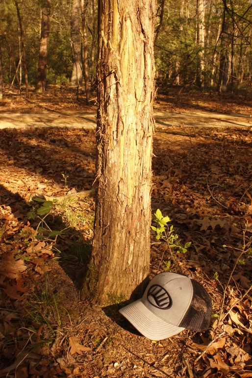 63.44acres carolinecty rub