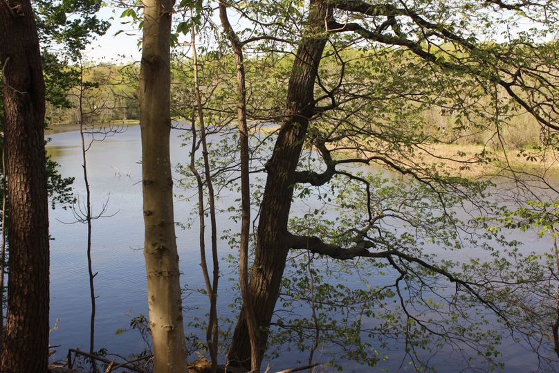 63.44acres carolinecty trrescreek