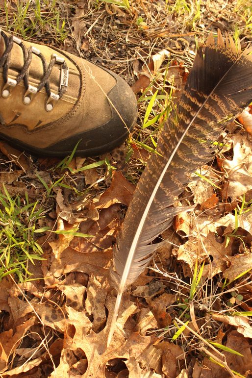 63.44acres carolinecty turkey