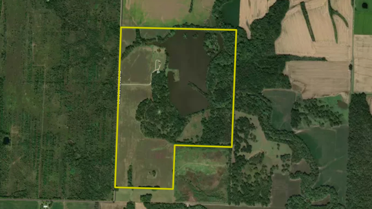 Waterfowl Lake, Timber, Tillable And Waterfront Home Whitetail Properties