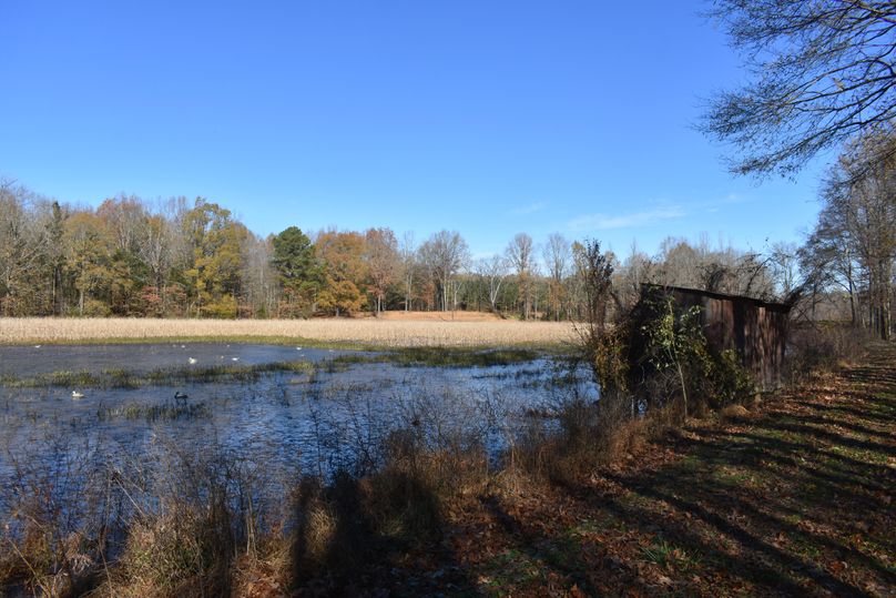 015a small duck blind 2