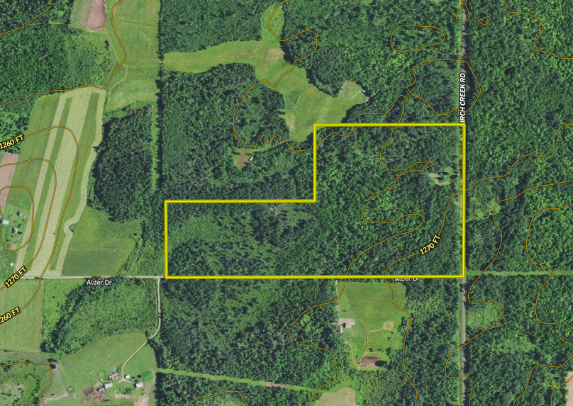 Screen shot 2021-04-20 at 3.46.54 pm