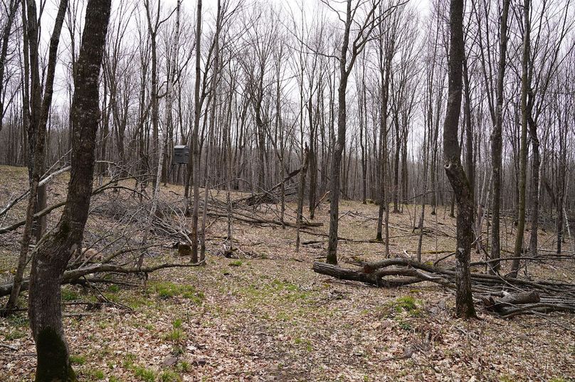 Barron80re-south-001