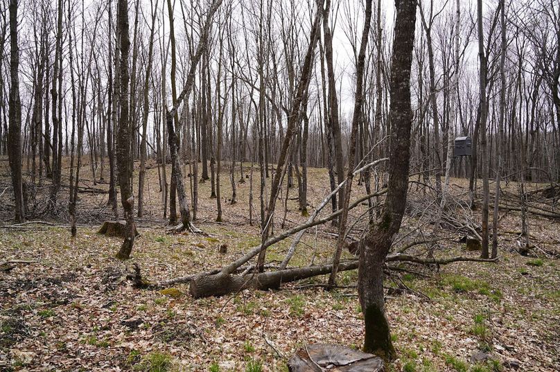 Barron80re-south-003