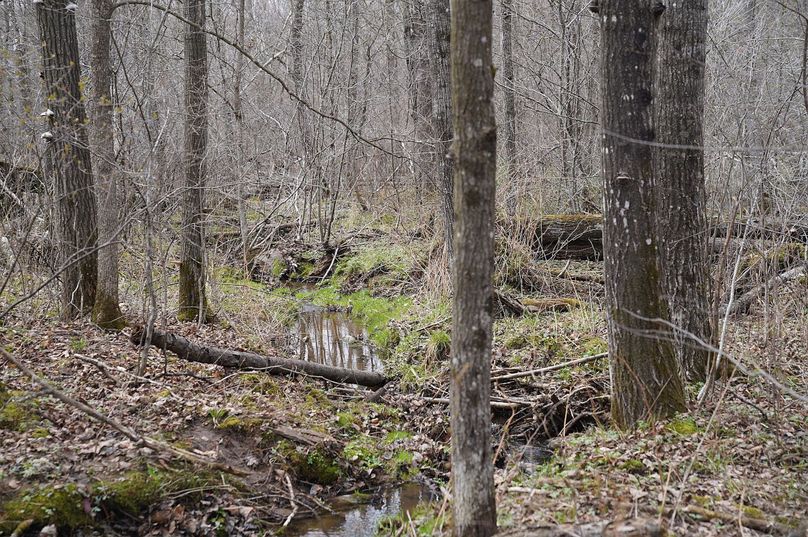 Barron80re-south-014