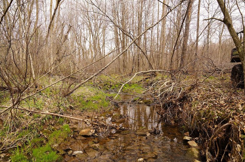 Barron80re-south-015