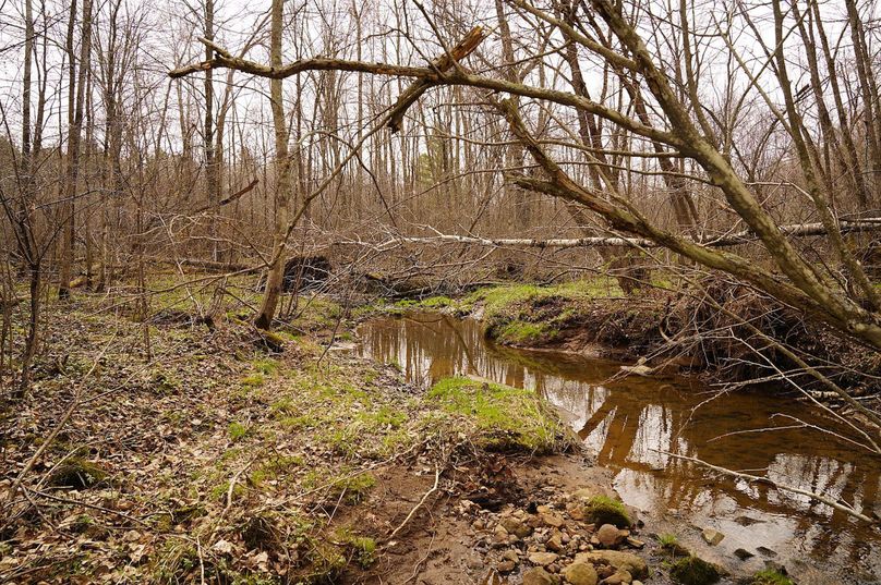 Barron80re-south-016