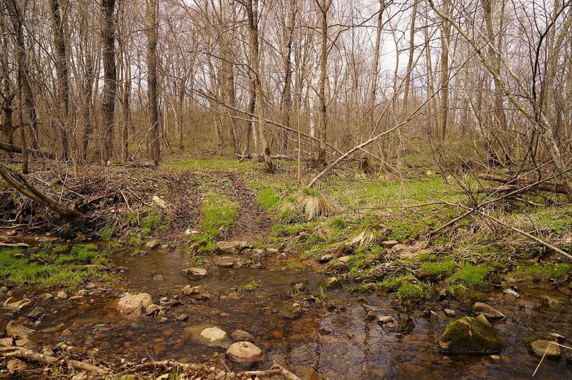 Barron80re-south-017