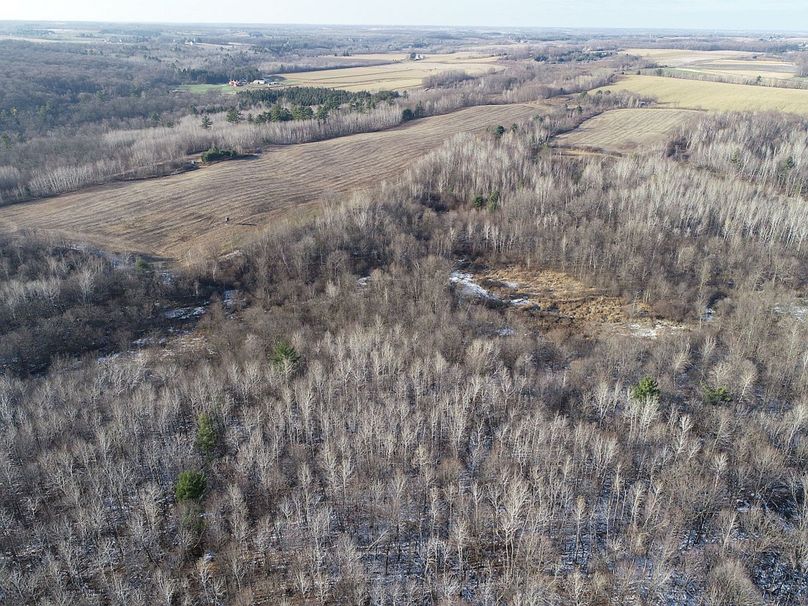 Barron80re-south-019(1)