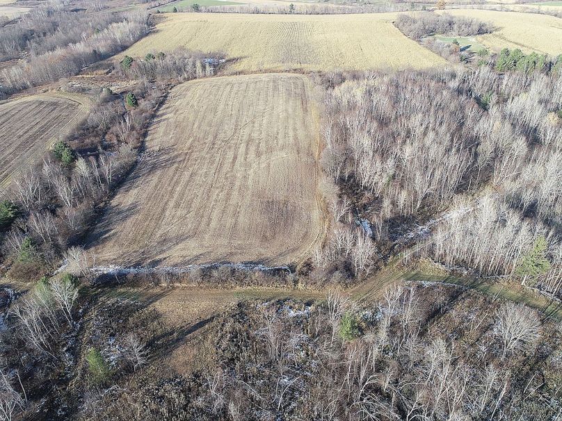 Barron80re-south-019