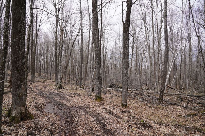 Barron80re-south-011