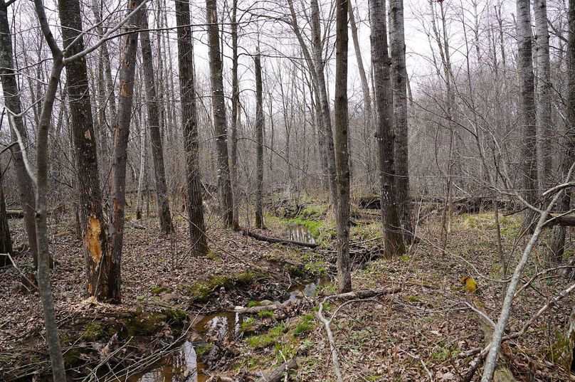 Barron80re-south-013