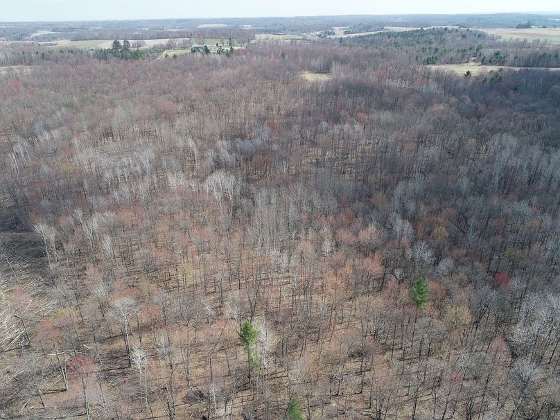 Barron80re-south-024(1)