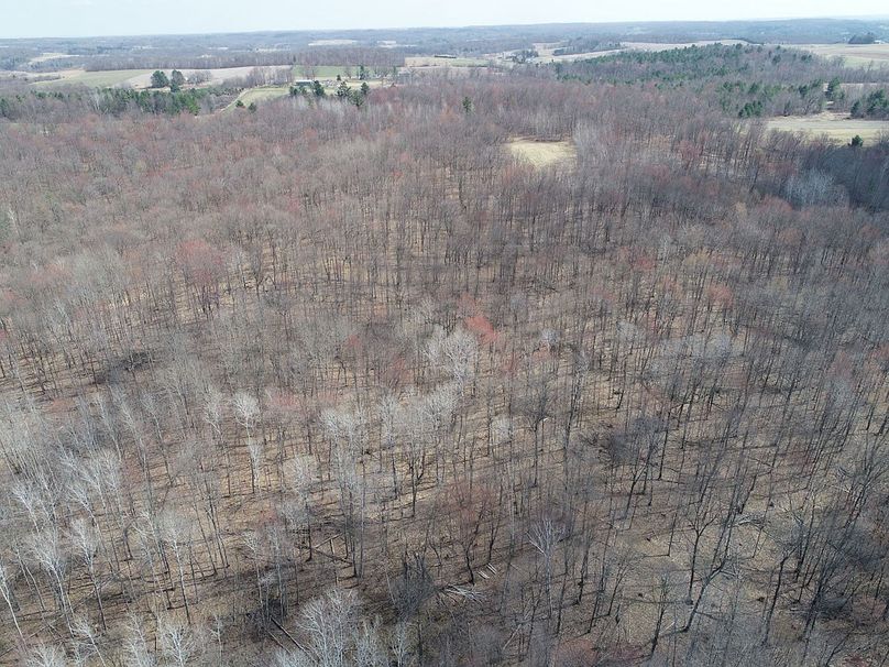 Barron80re-south-025